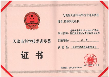 2006年天津市科學技術進步二等獎